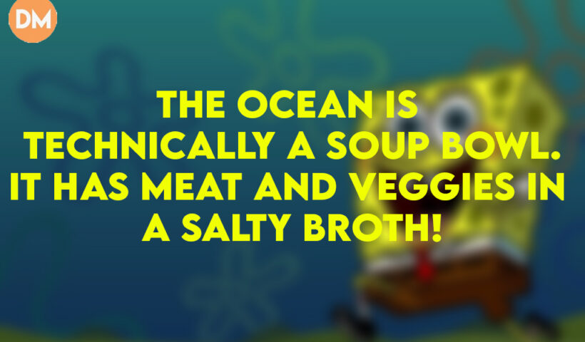 The ocean is technically a soup bowl.It has meat and veggies in a salty broth!