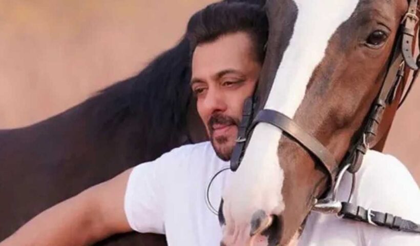 Kabir Khan opens up on Bajrangi Bhaijaan sequel: Pawan Putra Bhaijaan is what Salman Khan is calling it